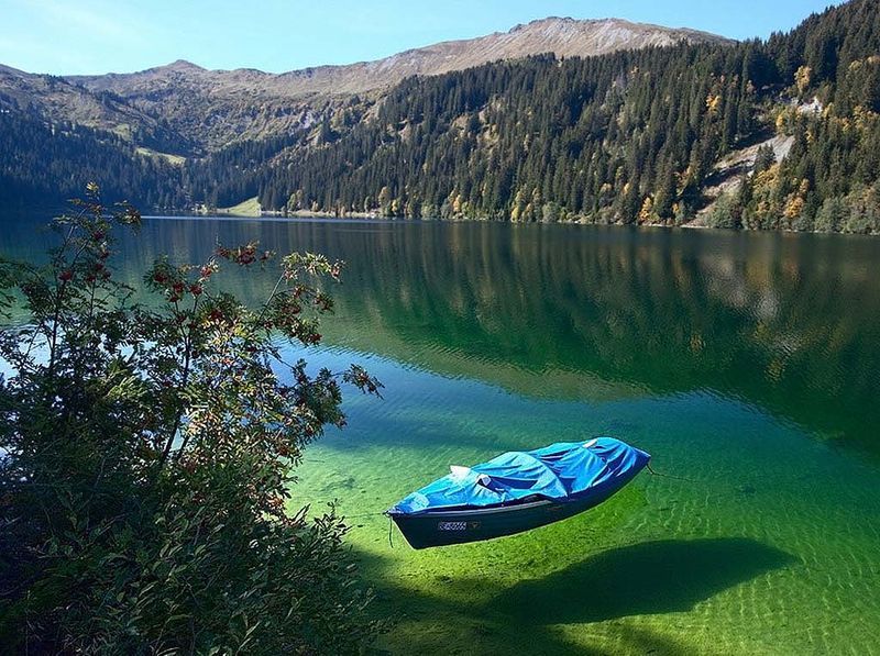 Чистая вода реки